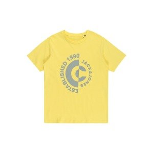 Jack & Jones Junior Tričko 'SPRING'  žltá / svetložltá