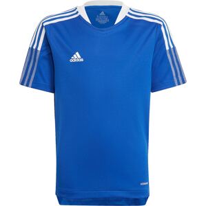 ADIDAS PERFORMANCE Funkčné tričko 'Tiro 21'  modrá / biela
