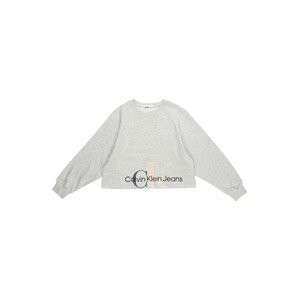 Calvin Klein Jeans Sweatshirt  sivá melírovaná / čierna / púdrová