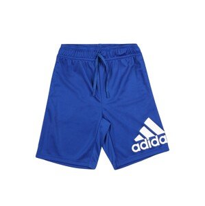 ADIDAS ORIGINALS Športové nohavice  kráľovská modrá / biela