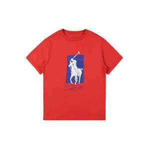 Polo Ralph Lauren Tričko  červená / kráľovská modrá / biela
