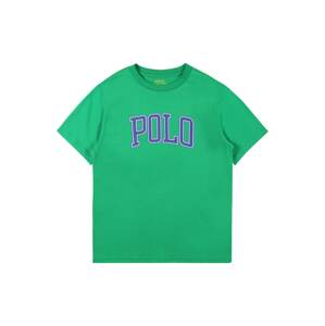 Polo Ralph Lauren Tričko  zelená / modrá