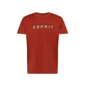 ESPRIT Tričko  červená / biela / čierna