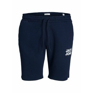Jack & Jones Plus Nohavice  námornícka modrá / biela
