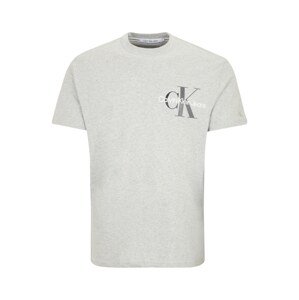 Calvin Klein Jeans Plus Tričko  svetlosivá / tmavosivá / biela