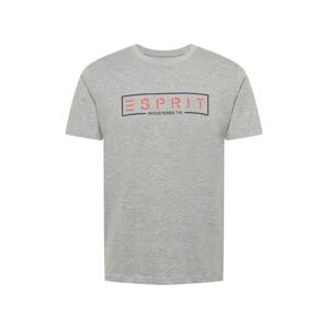 ESPRIT Tričko  sivá melírovaná / oranžová / čierna