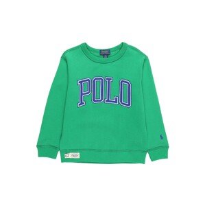 Polo Ralph Lauren Sweatshirt  zelená / modrá / biela