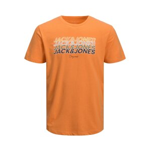 Jack & Jones Junior Tričko 'Brady'  oranžová / zmiešané farby
