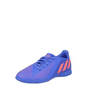 ADIDAS PERFORMANCE Športová obuv 'PREDATOR EDGE.4'  modrá / kráľovská modrá / koralová
