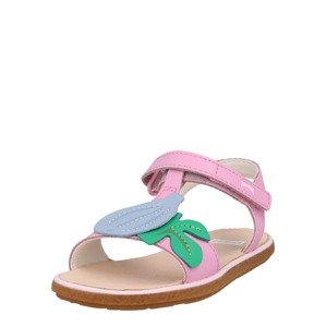 CAMPER Sandále  opálová / zelená / ružová