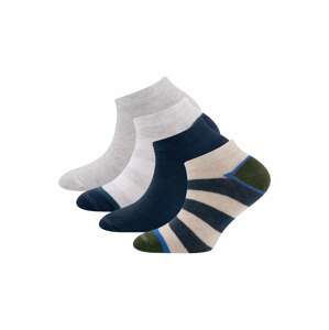 EWERS Ponožky  béžová / námornícka modrá / sivá / tmavozelená / biela