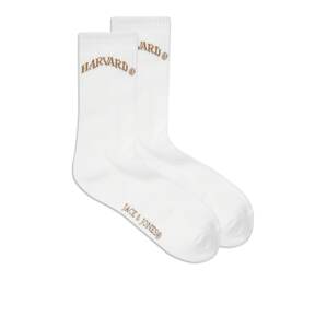 JACK & JONES Ponožky  hnedá / biela