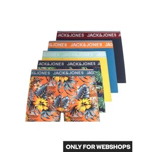 JACK & JONES Boxerky 'Cazores'  zmiešané farby