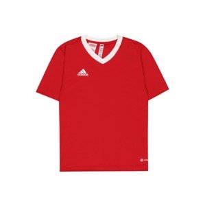 ADIDAS PERFORMANCE Funkčné tričko  ohnivo červená / biela