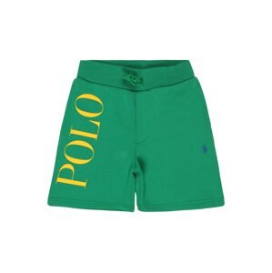 Polo Ralph Lauren Nohavice 'ATHLETIC'  zelená / žltá / modrá