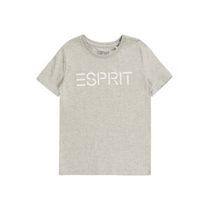 ESPRIT Tričko  biela / sivá melírovaná