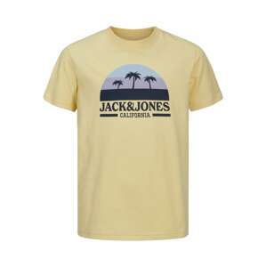 Jack & Jones Junior Tričko  námornícka modrá / dymovo modrá / limetková / levanduľová