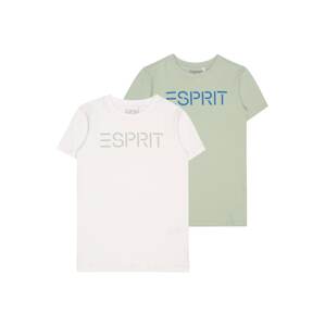 ESPRIT Tričko  biela / pastelovo zelená / modrá