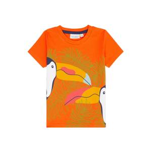 Sense Organics Tričko 'IBON'  oranžová / zmiešané farby