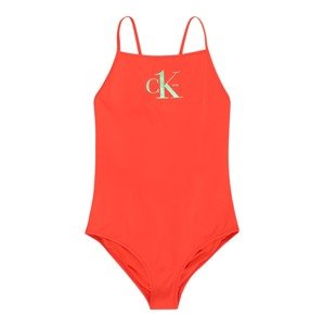 Calvin Klein Swimwear Jednodielne plavky  svetlozelená / oranžová