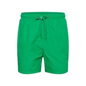 Superdry Plavecké šortky  trávovo zelená