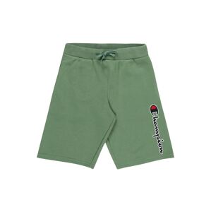 Champion Authentic Athletic Apparel Nohavice  zelená / námornícka modrá / biela / červená