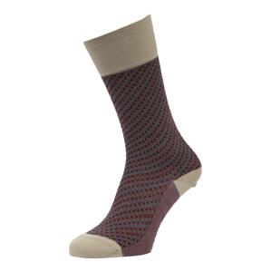 FALKE Ponožky  sivá / zmiešané farby