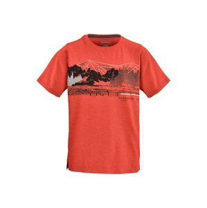 KILLTEC Funkčné tričko 'KOS'  červená / čierna / biela / sivá