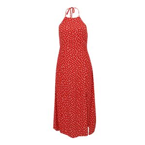 Forever New Petite Letné šaty 'Rory'  jasne červená / biela