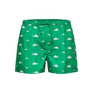 SELECTED HOMME Plavecké šortky  zelená / svetlomodrá / modrá