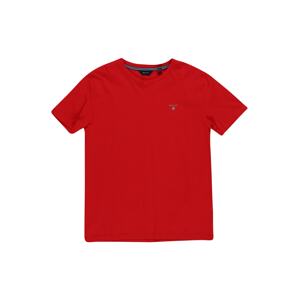 GANT Tričko  červená / biela / tmavomodrá