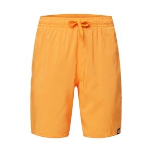 ADIDAS PERFORMANCE Surferské šortky  oranžová / biela