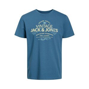 JACK & JONES Tričko 'BLUBOOSTER'  svetložltá / svetlomodrá / modrosivá