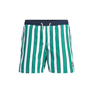 JACK & JONES Plavecké šortky 'Milos'  zelená / biela / námornícka modrá