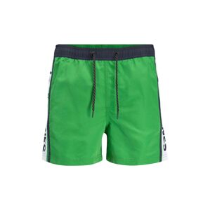 JACK & JONES Plavecké šortky 'Crete'  zelená / tmavomodrá / biela