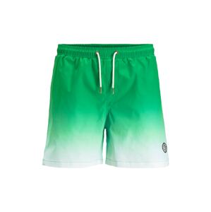 JACK & JONES Plavecké šortky 'MILOS'  zelená / svetlozelená