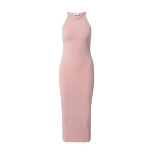 Calvin Klein Šaty 'PRIDE'  zmiešané farby / ružová