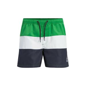 JACK & JONES Plavecké šortky 'CRETE'  modrá / zelená / biela