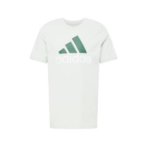 ADIDAS PERFORMANCE Funkčné tričko  pastelovo zelená / tmavozelená / biela