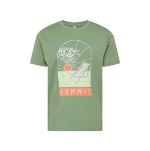 ESPRIT Tričko  zelená / lososová / biela