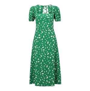 Dorothy Perkins Petite Šaty  krémová / trávovo zelená