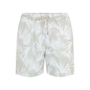 Calvin Klein Swimwear Plavecké šortky  svetlosivá / biela