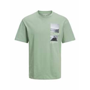 JACK & JONES Tričko 'MAXIM'  zelená / zmiešané farby