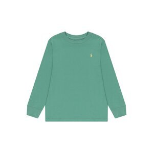 Polo Ralph Lauren Tričko  zelená / svetložltá
