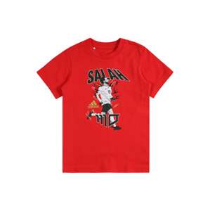 ADIDAS PERFORMANCE Funkčné tričko  sivá / červená / čierna / biela