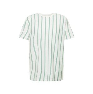 SELECTED HOMME Tričko  biela / pastelovo zelená