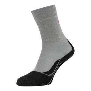 FALKE Športové ponožky  svetlosivá / čierna / červená