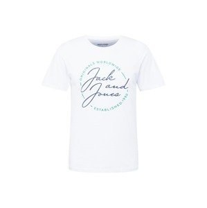 JACK & JONES Tričko 'JERRYS'  šedobiela / zelená / námornícka modrá