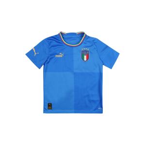 PUMA Funkčné tričko 'Italien 2022'  modrá / azúrová / zmiešané farby