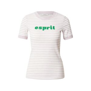 ESPRIT Tričko  zelená / svetlofialová / biela